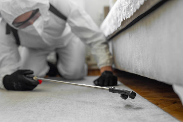 Professional Ant Control technician working in Lost Hills, CA